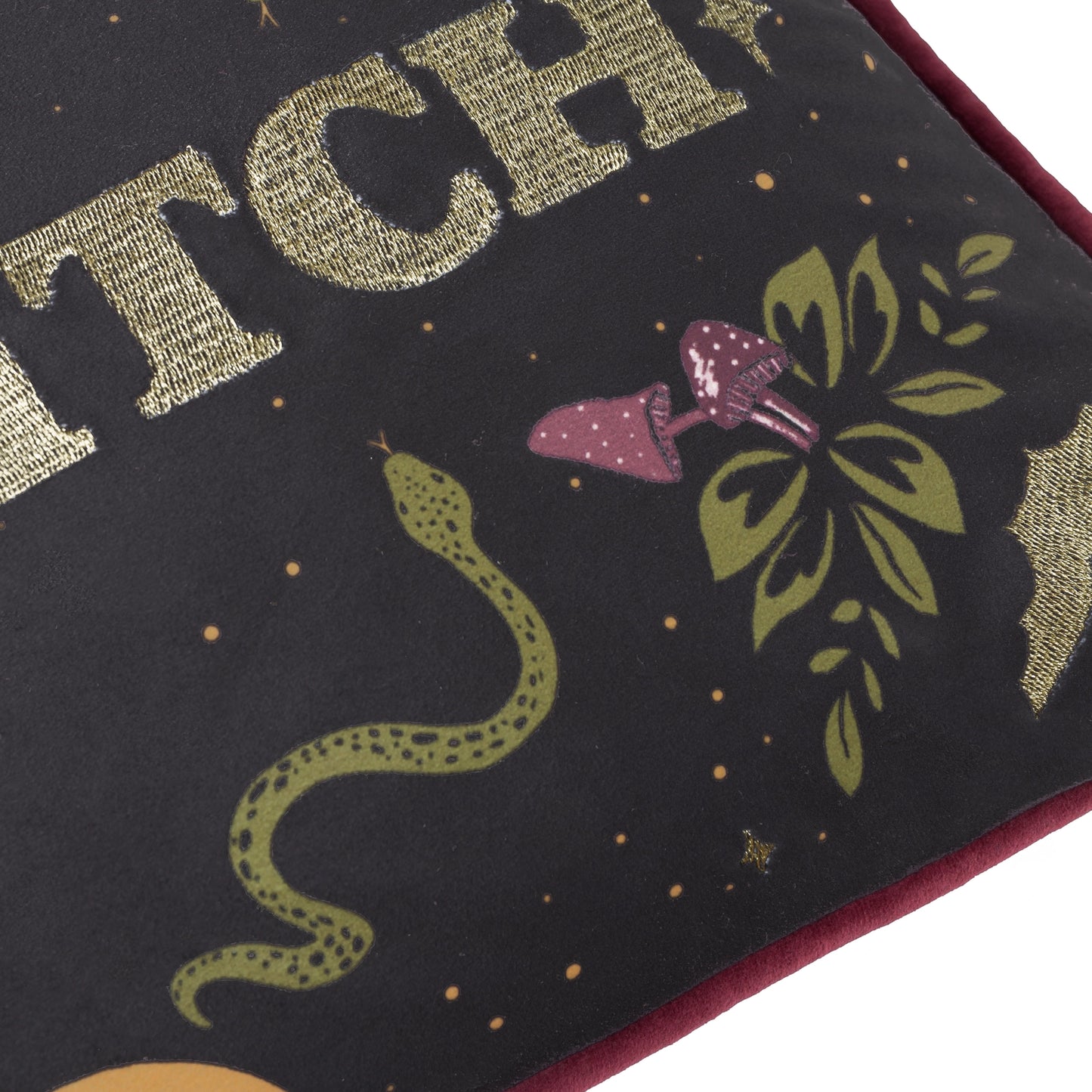 Bad Witch Embroidered Velvet Cushion Black Magic