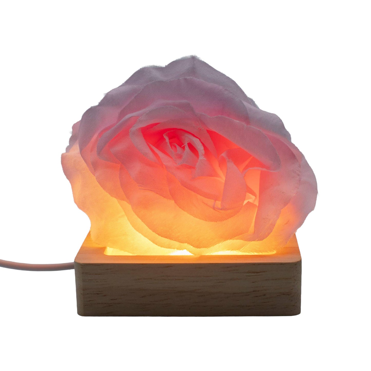 USB LED Display Stands – Light Up Anything