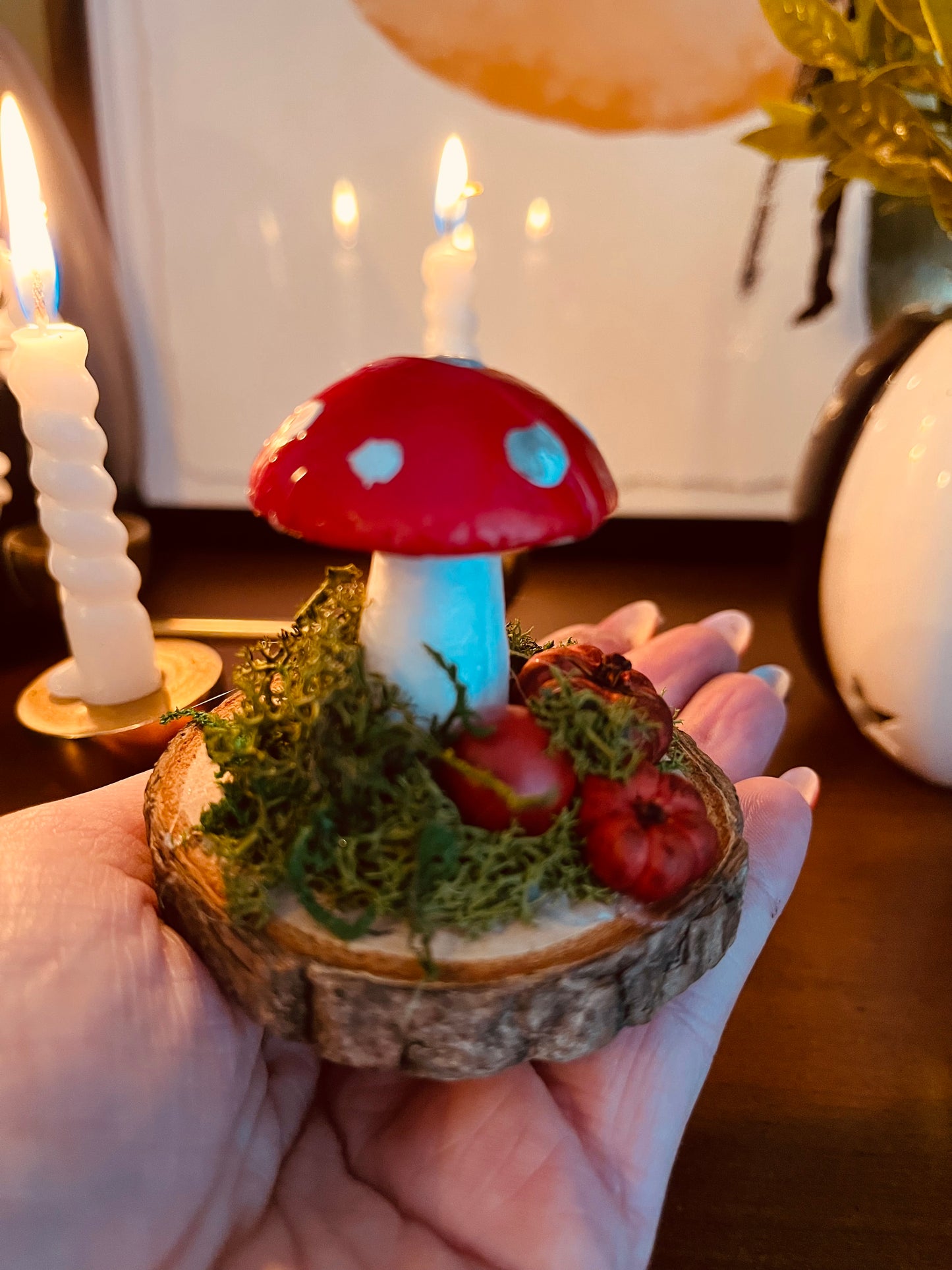 Magical Woodland Toadstool Decoration