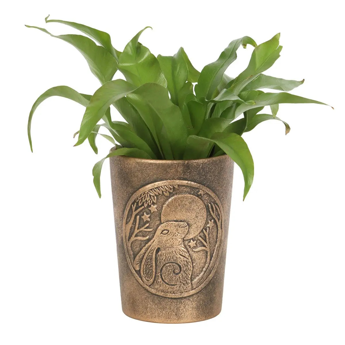 Moon Gazing Hare Bronze Terracotta Plant Pot By Lisa Parker