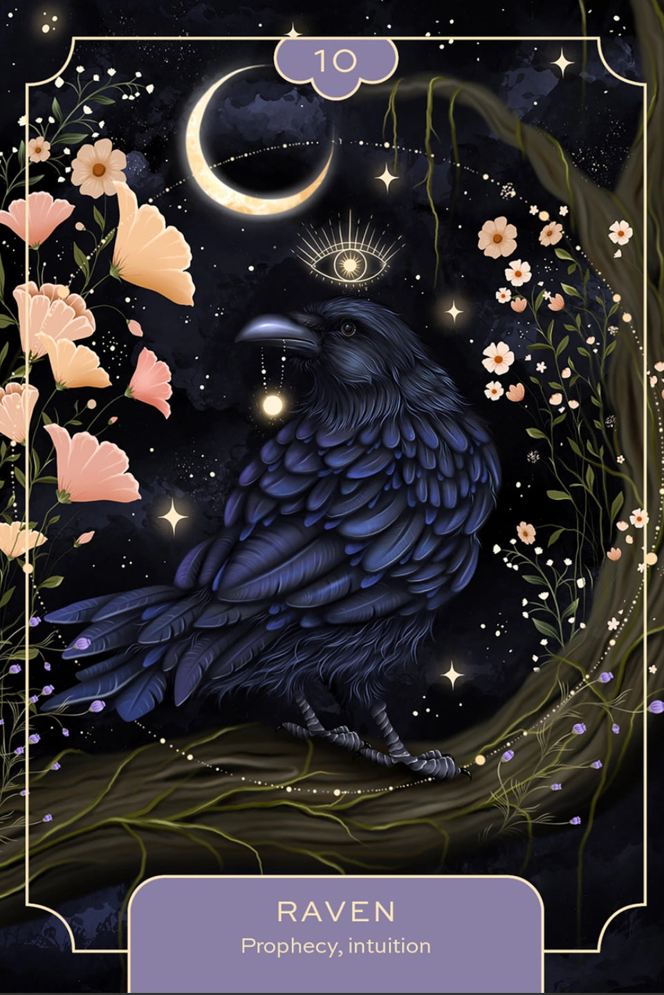 Animal Spirit Oracle Cards