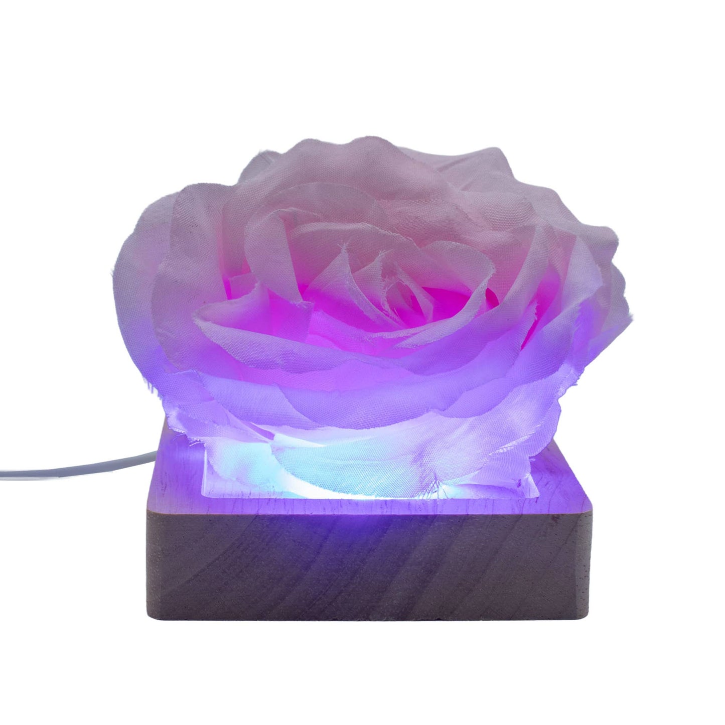 USB LED Display Stands – Light Up Anything